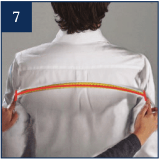 How to measure the back chest
